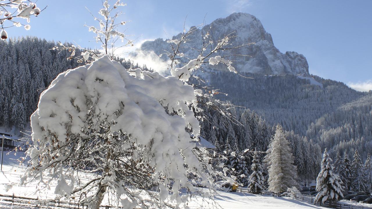 Garni Hotel Rosengarten B&B Sëlva di Val Gardena Eksteriør billede